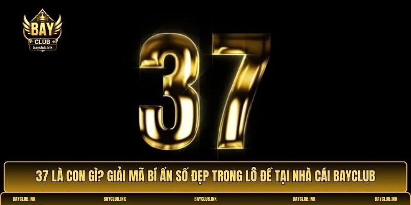 37 là con gì