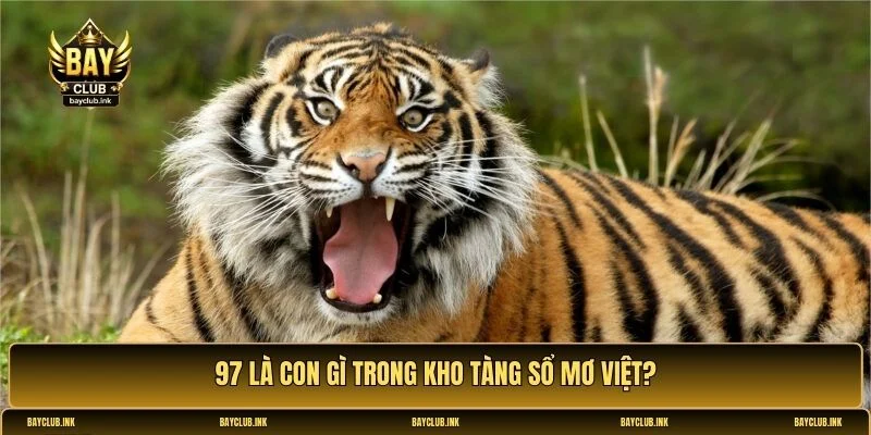 97 là con gì