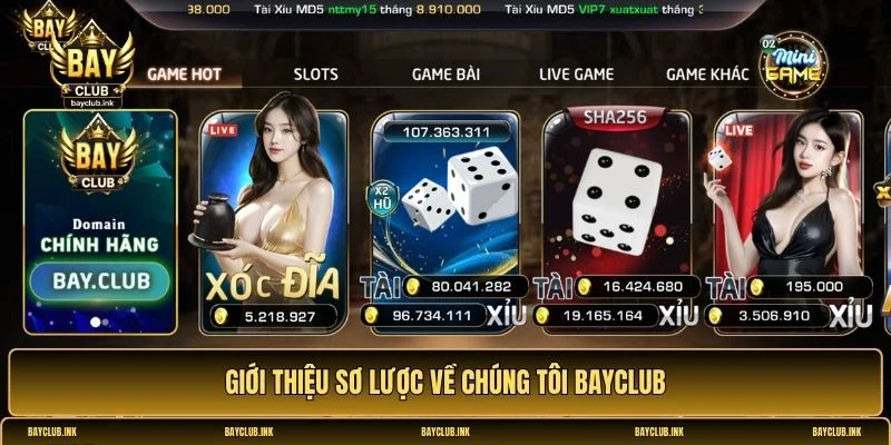 Về chúng tôi Bayclub